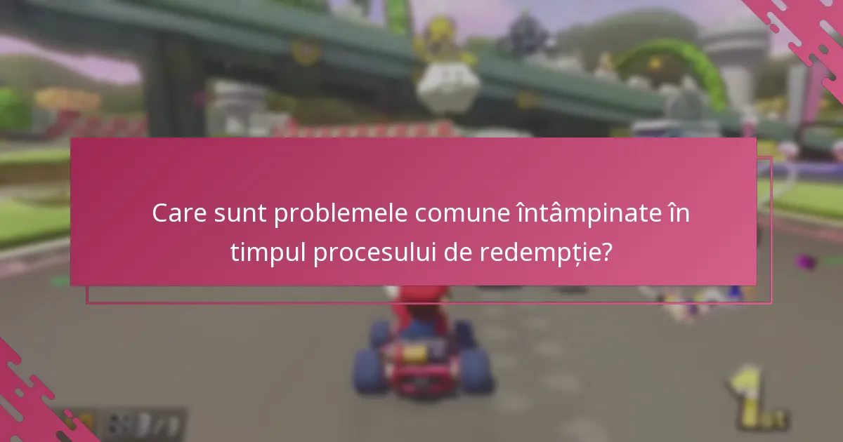 Care sunt problemele comune întâmpinate în timpul procesului de redempție?